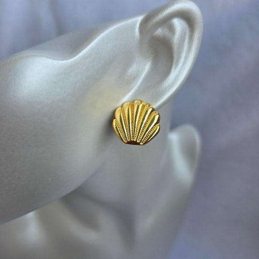 Topo Concha De Mar Taraxia