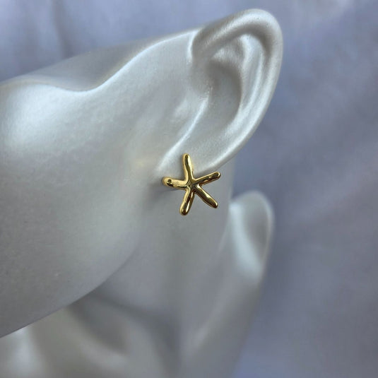 Topo Estrella De Mar Infinito