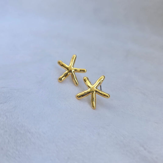 Topo Estrella De Mar Infinito