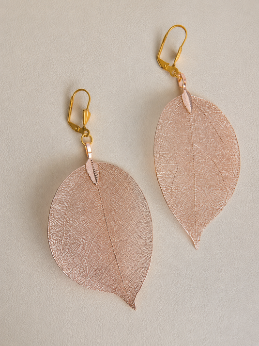 Aretas Brisa